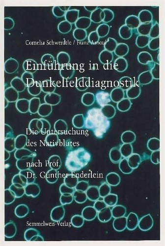 Einführung die - in,