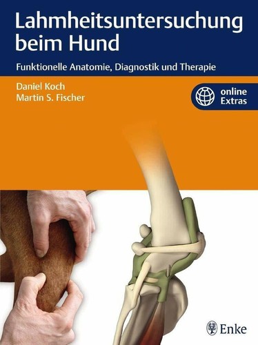 Lahmheitsuntersuchung beim